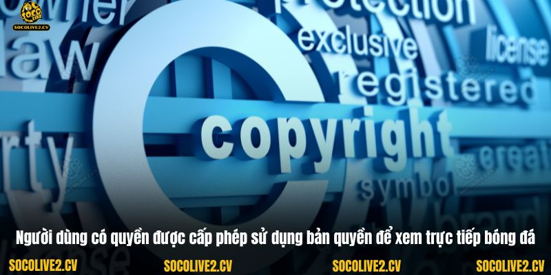 Người dùng có quyền được cấp phép sử dụng bản quyền để xem trực tiếp bóng đá