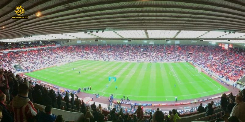 Nhận định Sunderland vs Manchester City 03h00 02/01: Cuộc chiến không cân sức tại hang ổ "Mèo Đen"